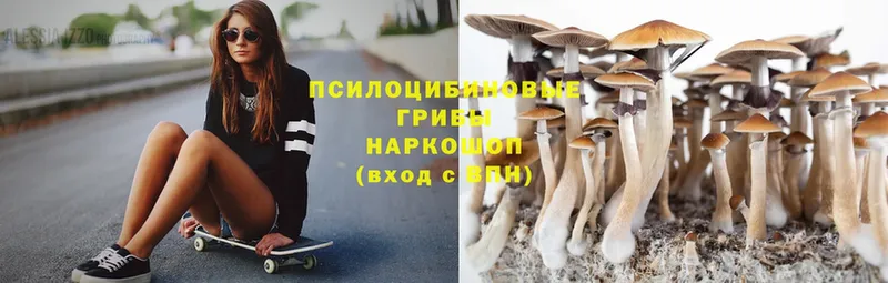 Псилоцибиновые грибы Magic Shrooms  shop наркотические препараты  Фролово 